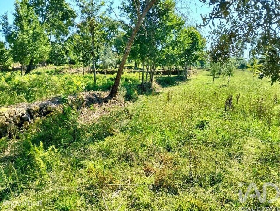 Quinta em Graça