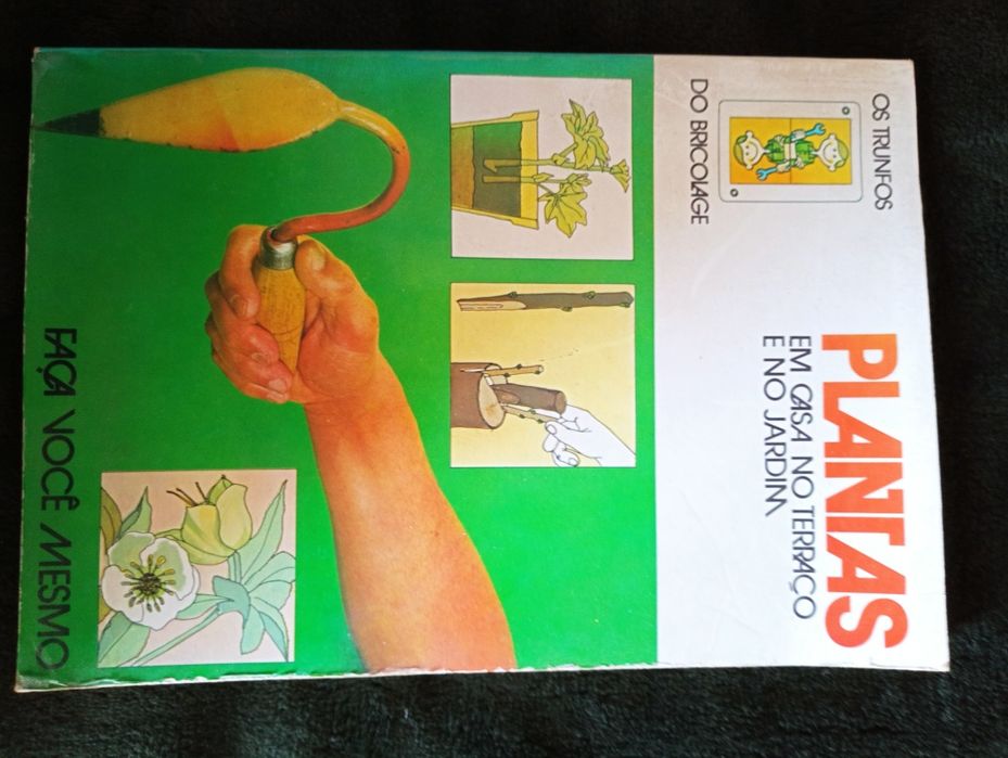 Plantas em casa no terraço e no jardim Macella Cordami 1977 Muito raro