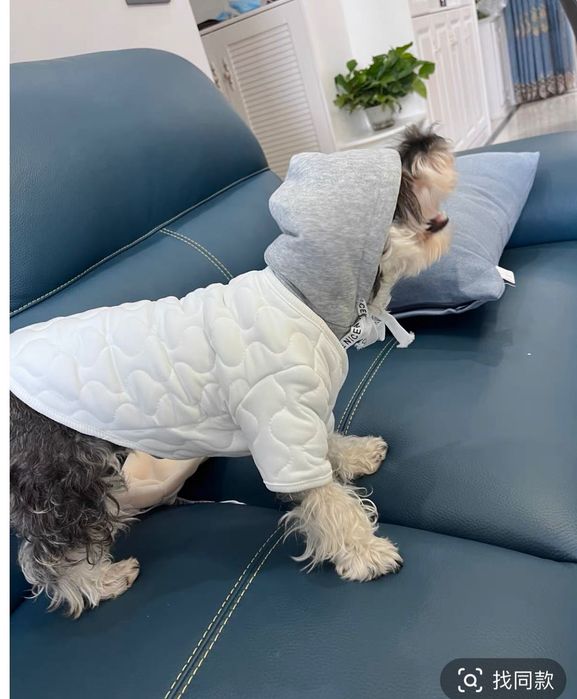 Одежда для животных