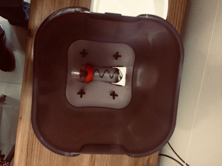 Comedouro de gato ou cão a pilhas