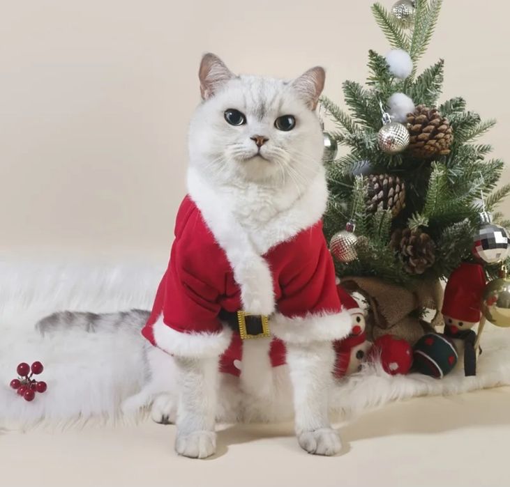 Camisola de pai natal para gato / cao (nova)