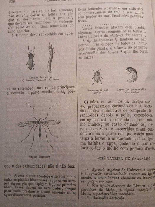O Agricultor do Norte de Portugal (Volume IV - nº 8), 1881