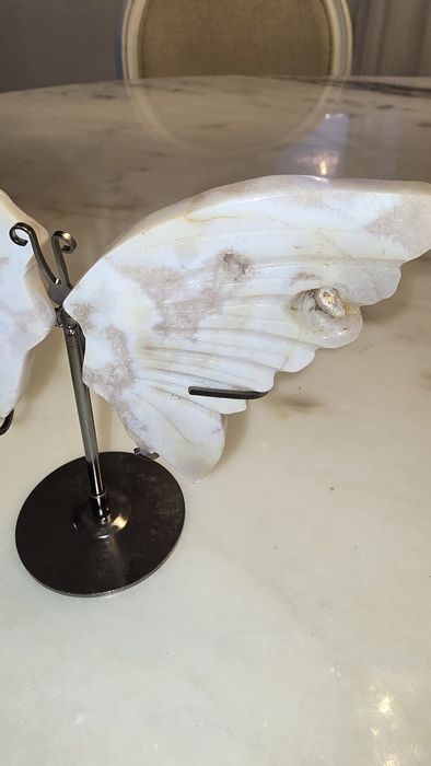 Borboleta agata flor