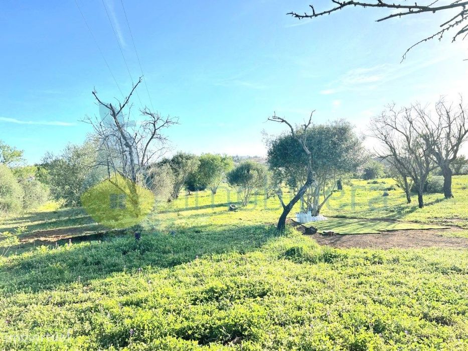 Terreno plano em zona rural, em Algoz, para agricultura e afins. — Alcantarilha E Pêra, Faro