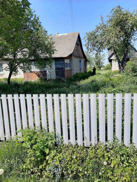 Продам затишний будинок у селі з ділянкою