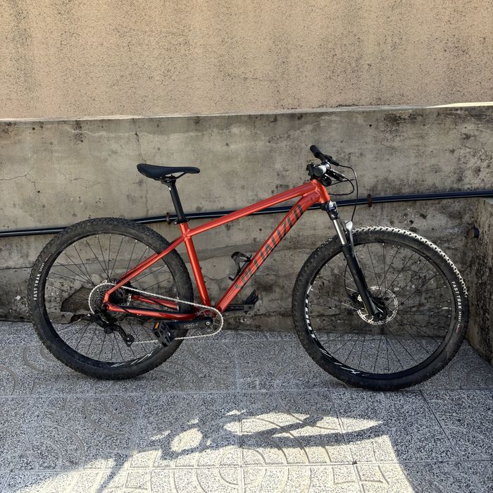 Specialized Rockhopper 29 Orange