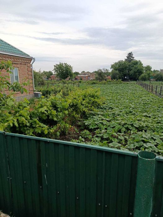 Будинок (мебльований) в м. Новомиргород