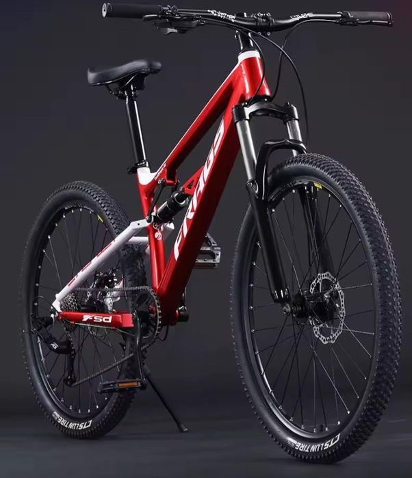 Bicicleta montanha Frags