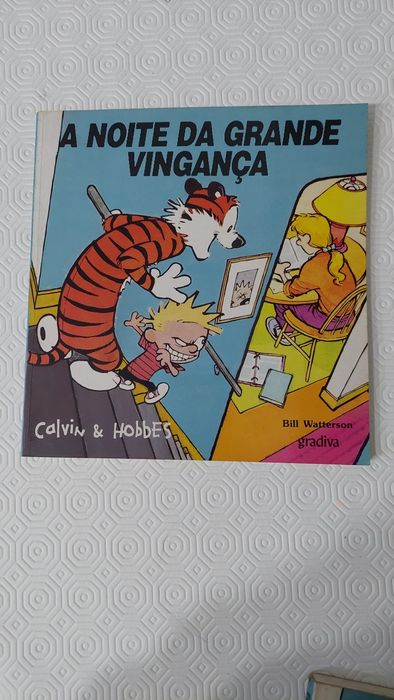 Calvin & Hobbes 3 livros