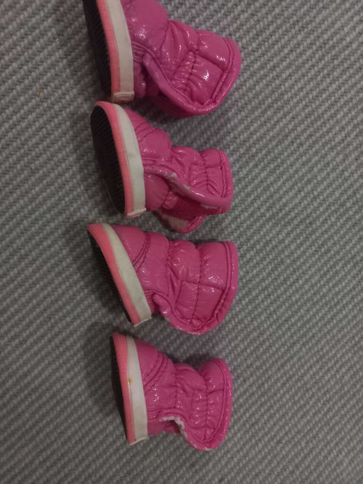 Взуття для собачки.