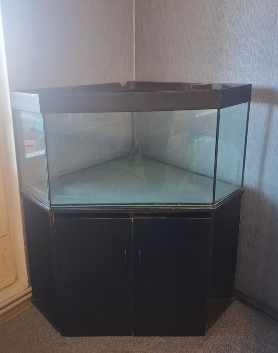 Кутовий акваріум на 280 л разом з тумбою