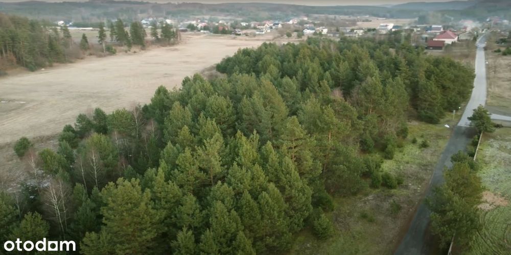 Piękna, zalesiona działka budowlana w Zdowie