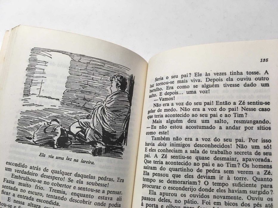 Livro - 'Os Cinco' Salvaram o Tio