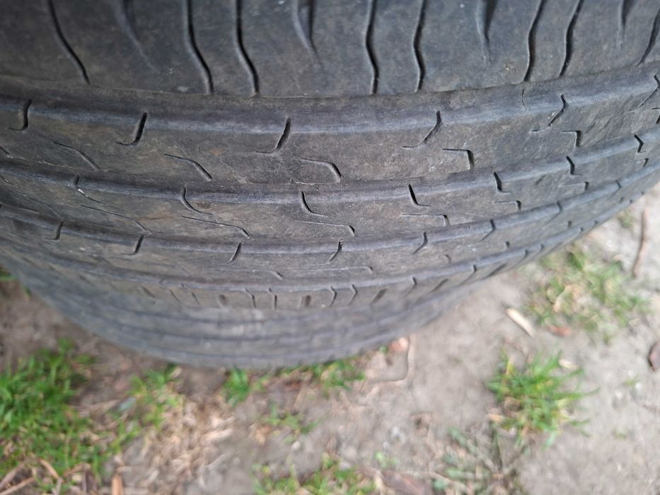 Continental EcoContact 6 205/55/16 V