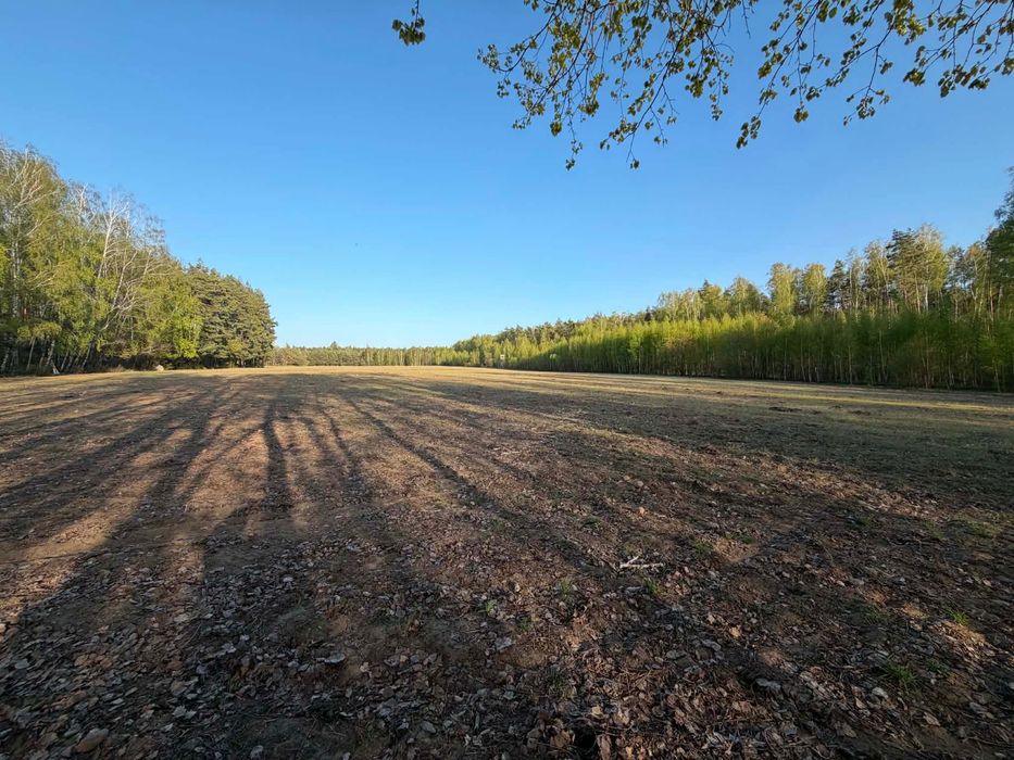 Działka 3000m z warunkami zabudowy.