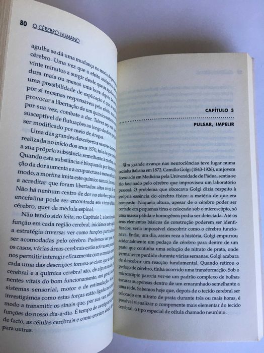 O Cérebo Humano - Susan A. Greenfield