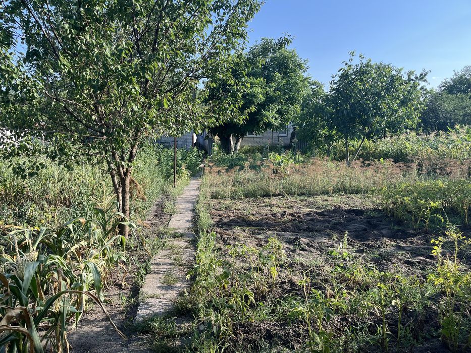 Будинок Новоселівка Куцюбиньського 167