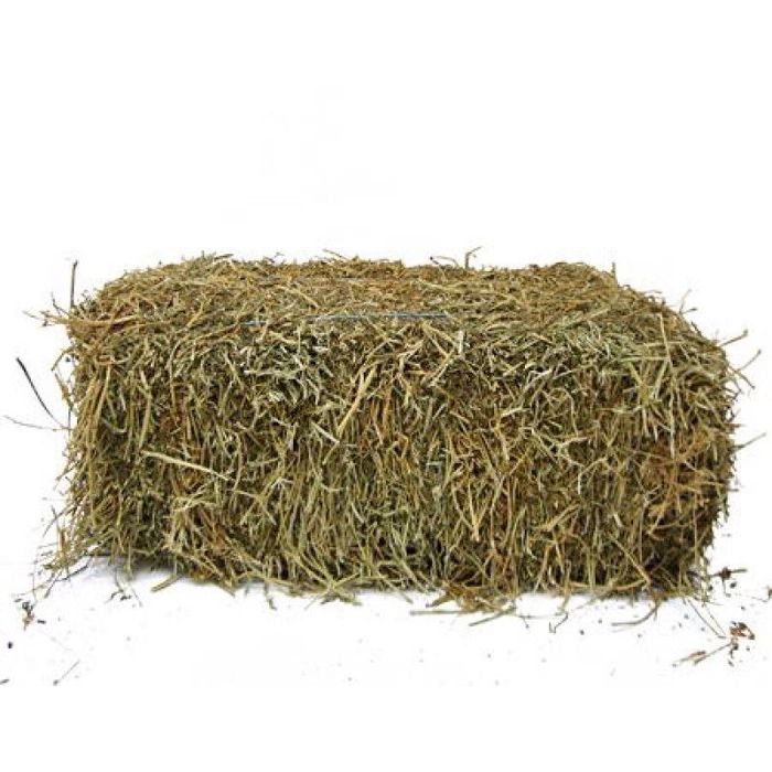 Продаем сено в с.Недайвода