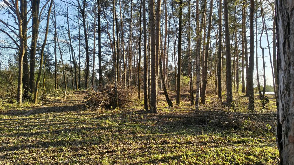 Działaka budowlana 4862 m2 Kielce Słowik Ul. Charsznicka