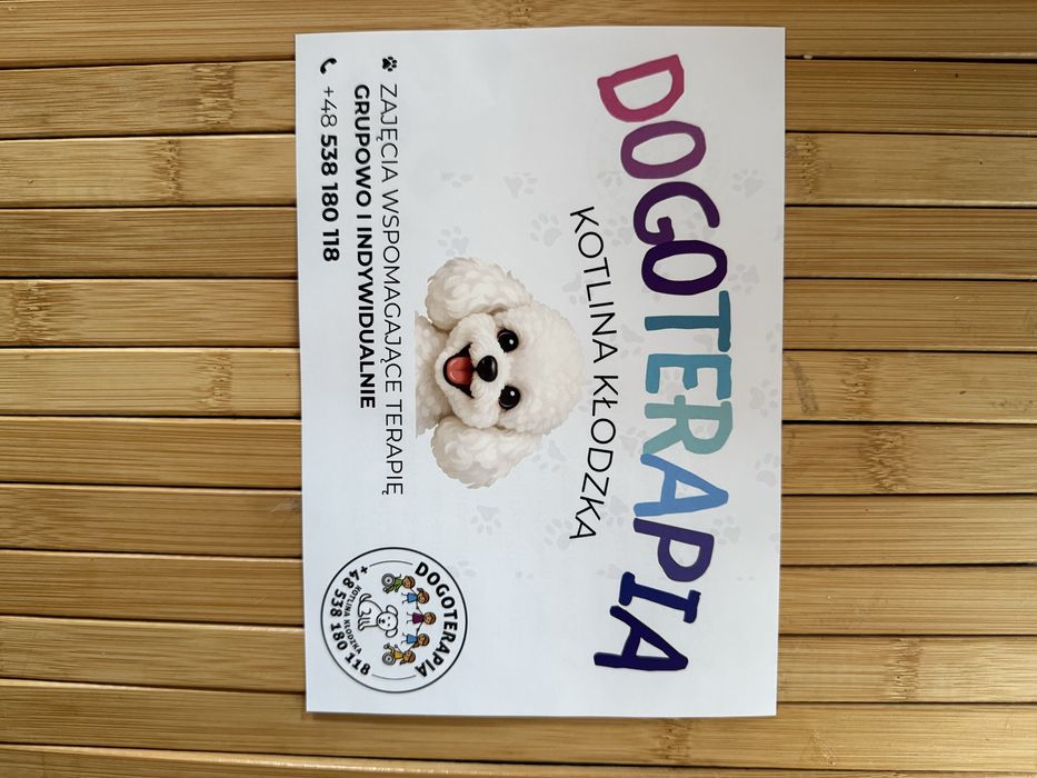 Dogoterapia-zajęcia usprawniające z psem dla dzieci i dorosłych