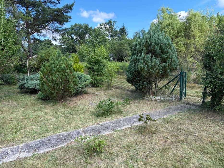 Działka ROD Nad Widawą 396 m² | Murowana altana | Studnia - Widok 3