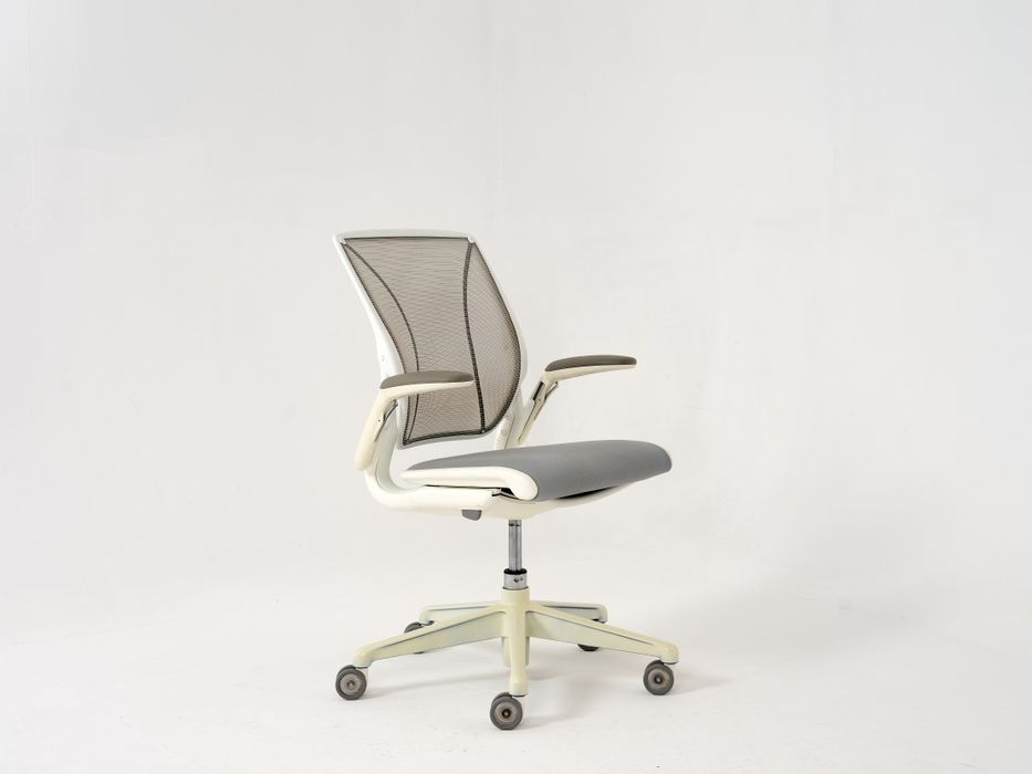 Cadeira Diffrent World da Humanscale
