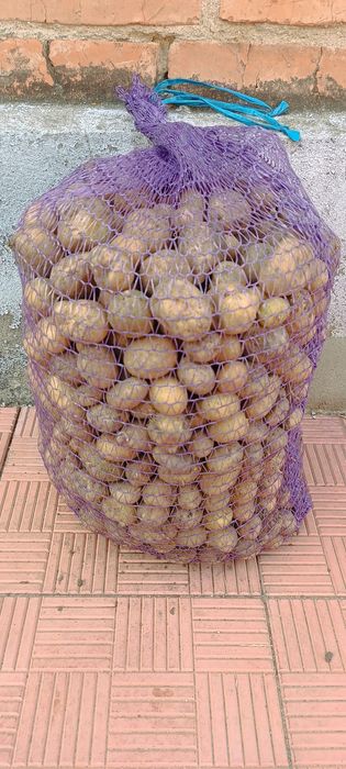Продам дрібну картоплю