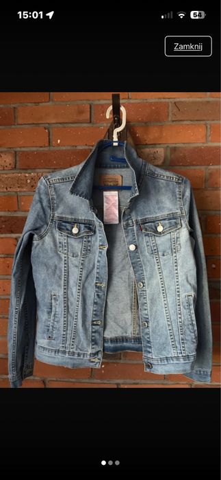 Kurtka levis levis