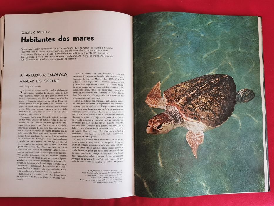 Livro - O Assombroso Mundo da Natureza