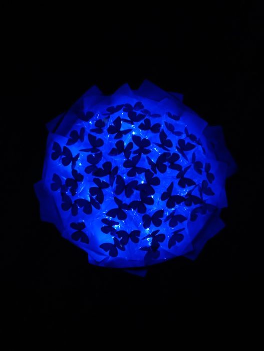 Незвичайний букет з метеликів  Ідеально для свят: День закоханих