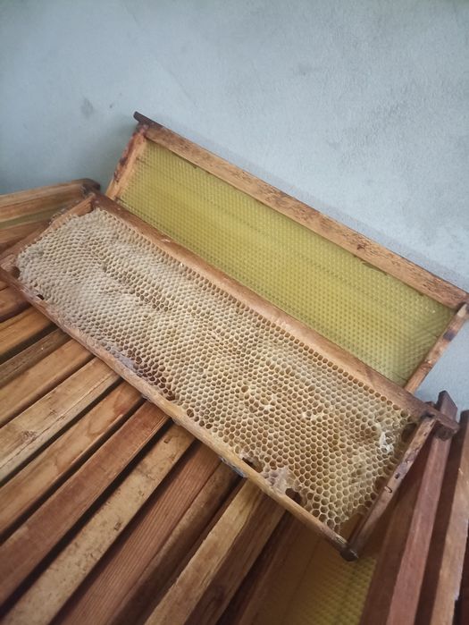 Продам суш пчелину на рамку 145