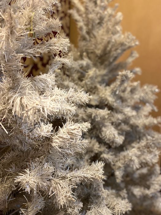 Елка елочка сосна ель