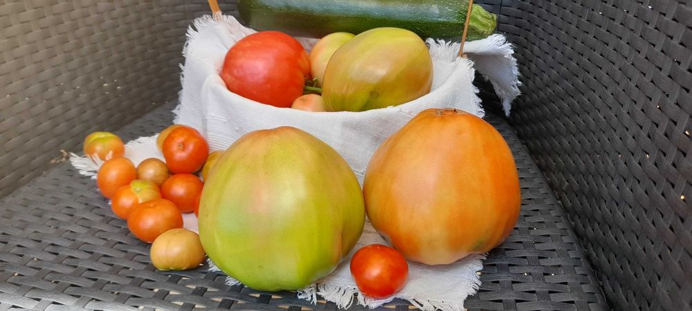Tomate Cherry e Coração de Boi