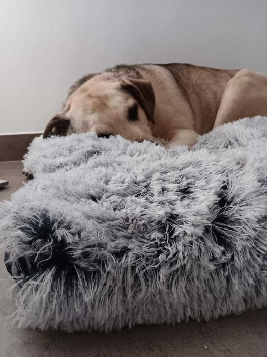Duże legowisko puszysta poducha dla psa kota 80x50 cm