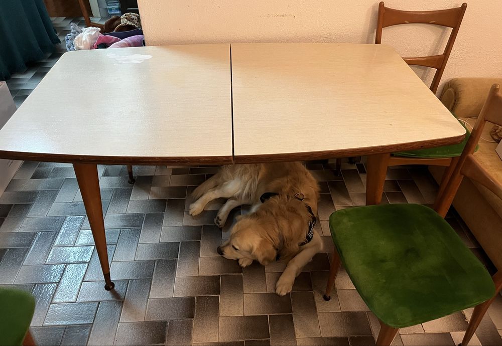 Mesa de Jantar e Cadeiras Vintage / Mid-Century (Estilo Olaio)