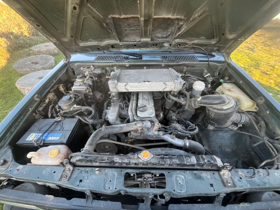 Nissan terreno 1