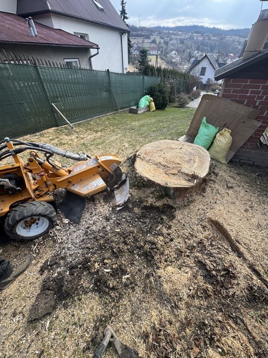 Usuwanie, frezowanie pniaków, korzeni, karp