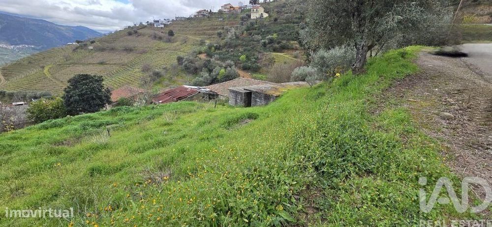 Terreno Agrícola em Vila Seca e Santo Adrião