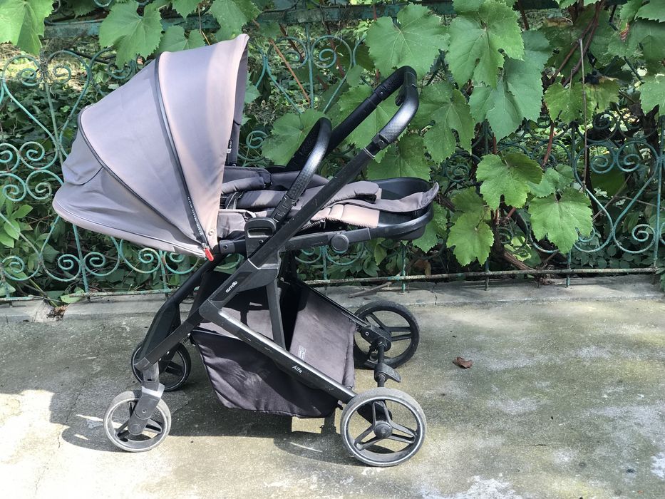 Коляска Carello Alfa, 2 в 1