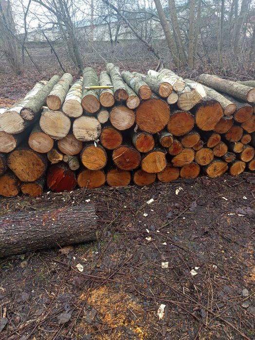 Drewno opałowe mieszane Olcha Brzoza