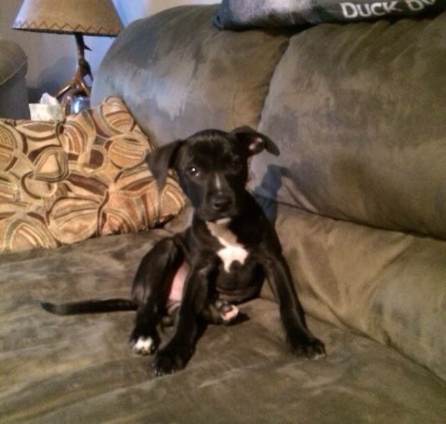 Терміново малята АСТ