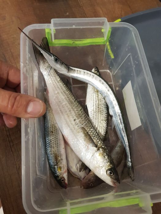 Дом по адресу (площадь 277 м²) - Atlanta.ua - фото 16