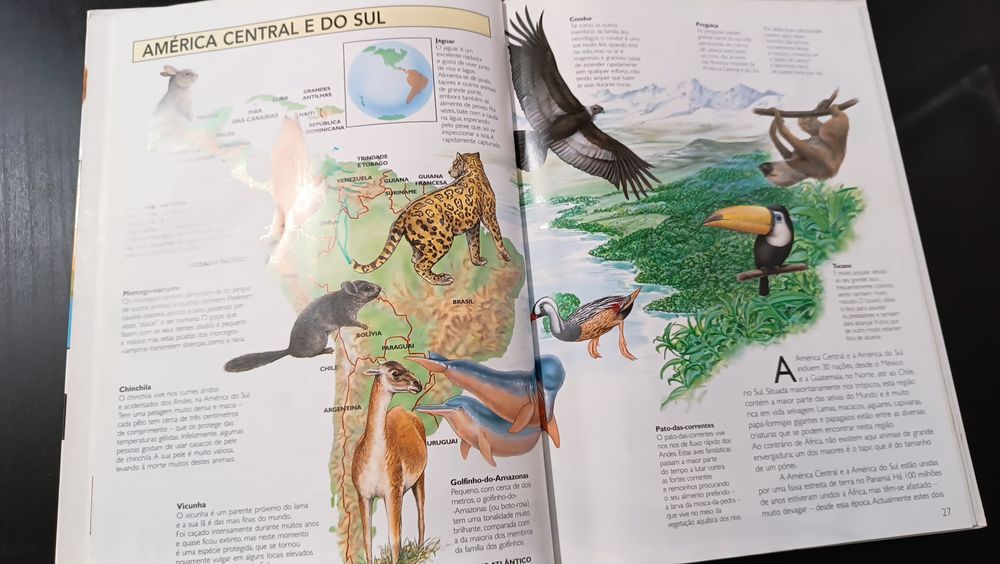 Livro " Animais do Mundo"