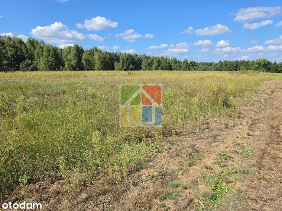 Działka pod zabudowę jednorodzinną lub letniskową 1050 m² - Widok 4