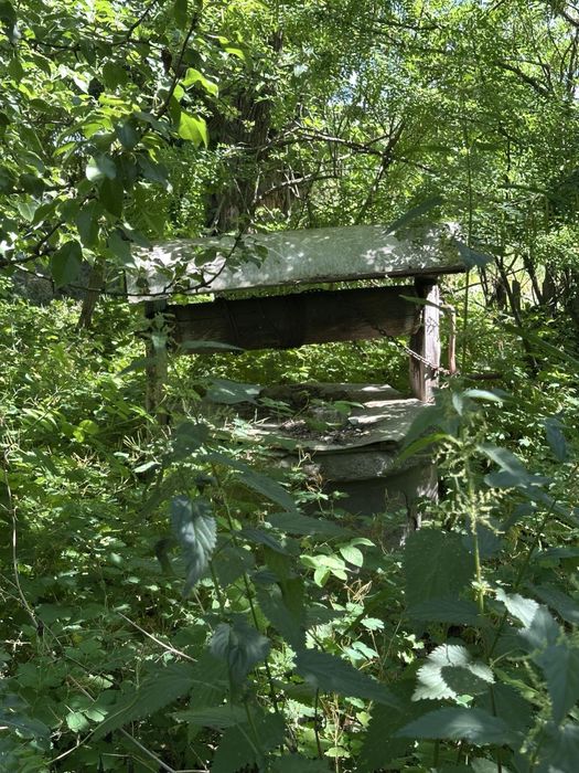 Продаж будинка в селі Радочини. 32 соткі. Кременчуцький район.