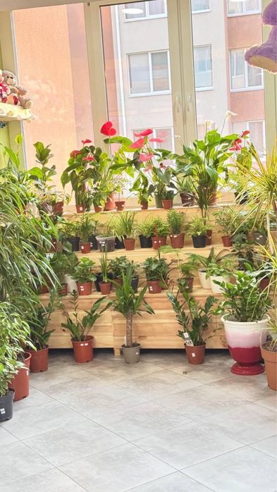 Магазин квітковий