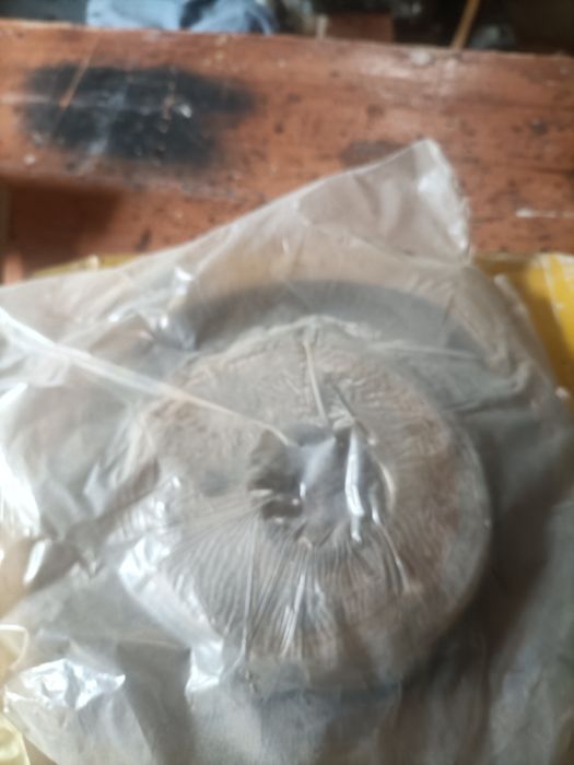 pastilhas nova e discos megane 2