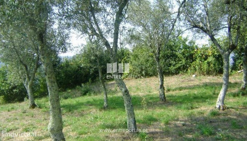 Venda Terreno com área de 9800 m2, Gove, Baião — Gove, Porto