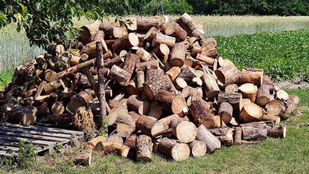 Mokre drewno drzewo opałowe kominkowe kawałki max 30cm lub wałki