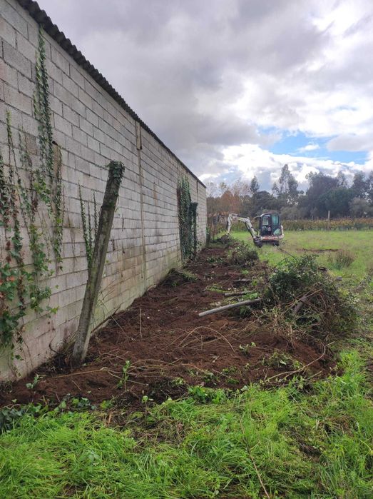 Trabalhos de mini-escavadora/giratória e construção